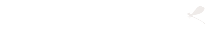 Paula Hurtado | logo